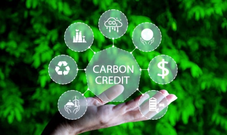 Thị trường tín chỉ carbon tại Việt Nam: Gấp rút hoàn thiện khuôn khổ pháp lý trước khi vận hành thử nghiệm